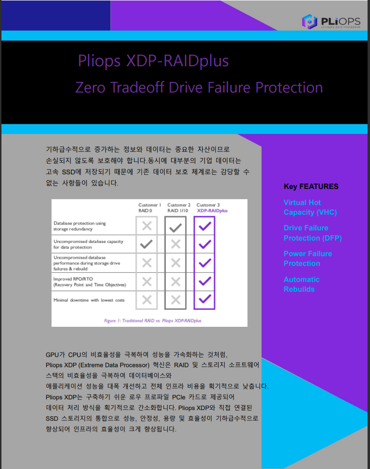 RAID Plus2.PNG