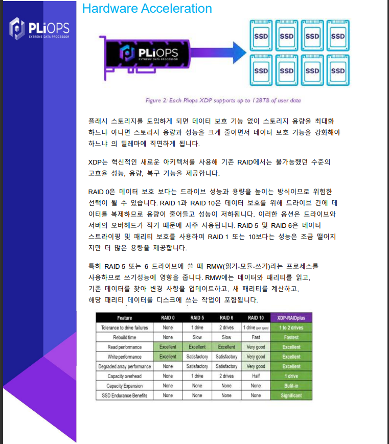 RAID Plus3.PNG